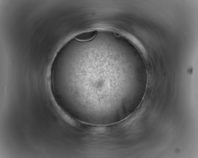 X0000102761431200808251018