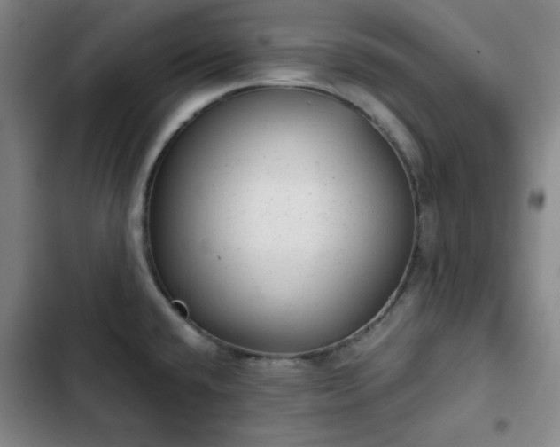 X0000102761432200808251018