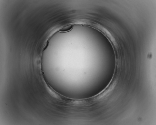 X0000102761433200808251018