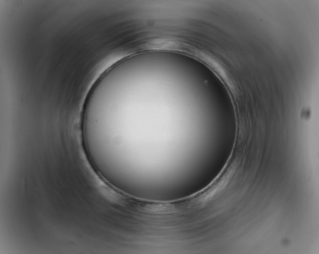 X0000102761434200808251018