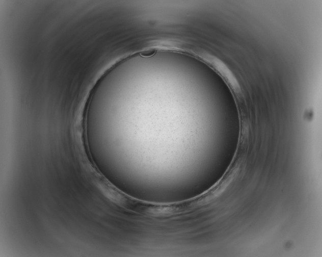 X0000102761435200808251018