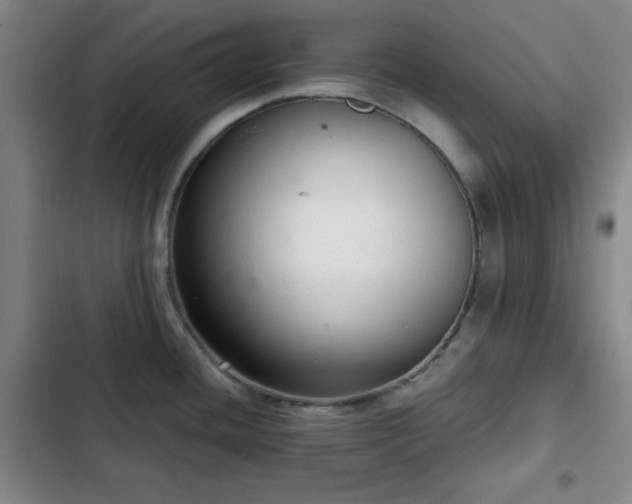 X0000102761436200808251018