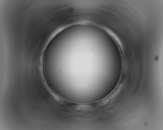 X0000102761437200808251018