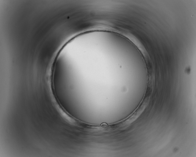 X0000102761438200808251018