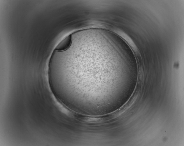 X0000102761439200808251018