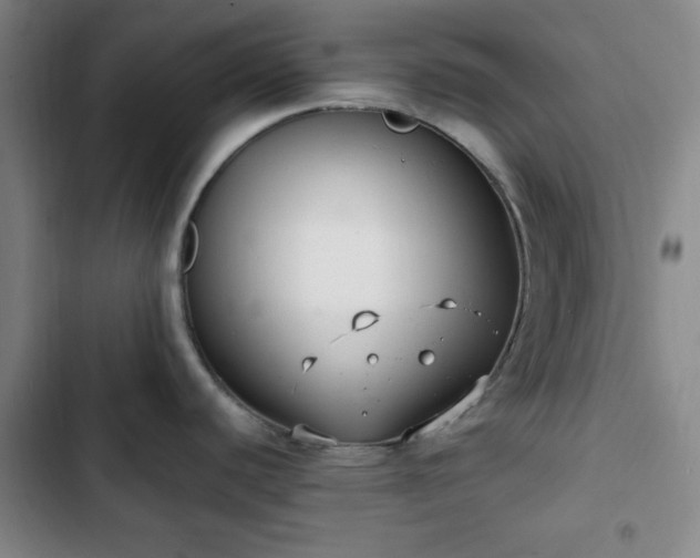 X0000102761440200808251018