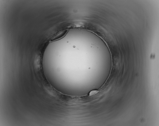 X0000102761442200808251017