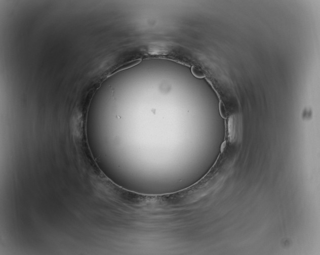 X0000102761443200808251017