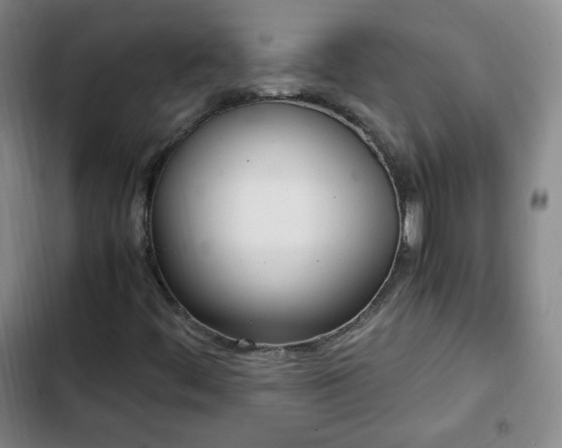 X0000102761444200808251017