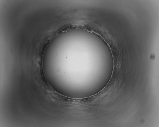 X0000102761445200808251017