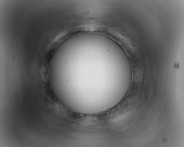 X0000102761446200808251017