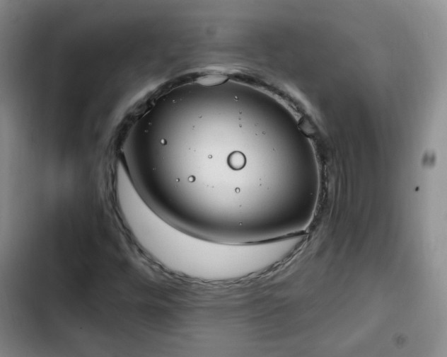 X0000102761448200808251017