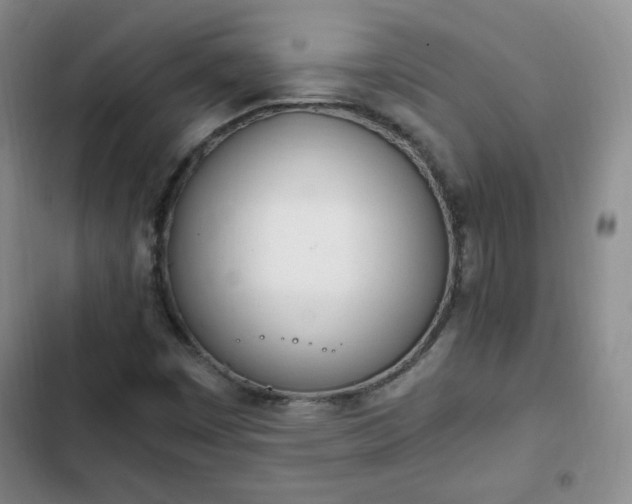 X0000102761449200808251017