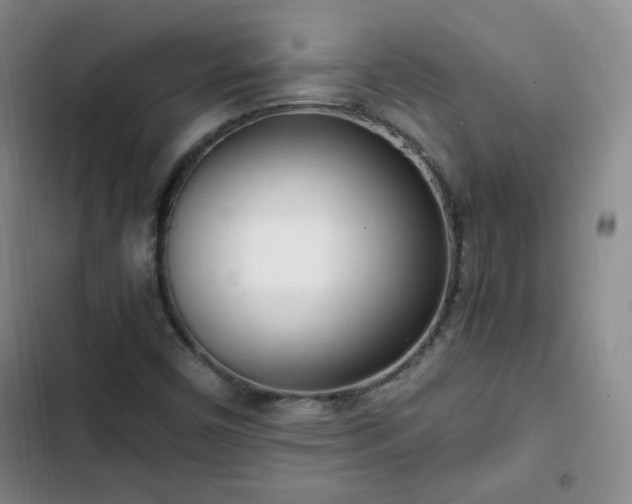 X0000102761450200808251017