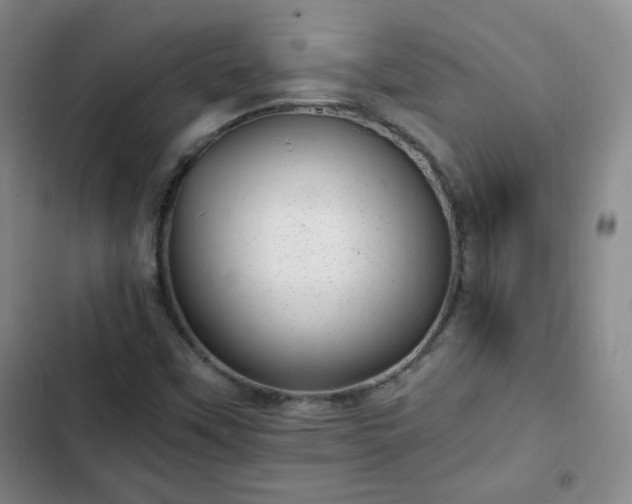 X0000102761451200808251017