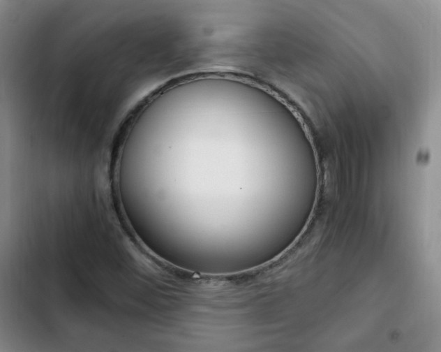 X0000102761452200808251017