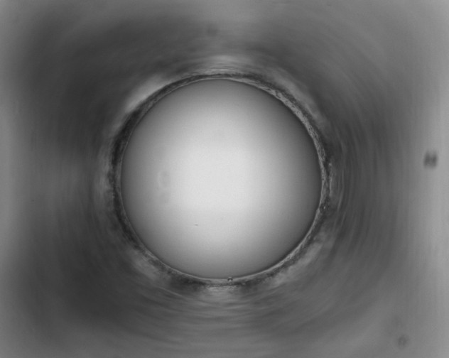 X0000102761453200808251017