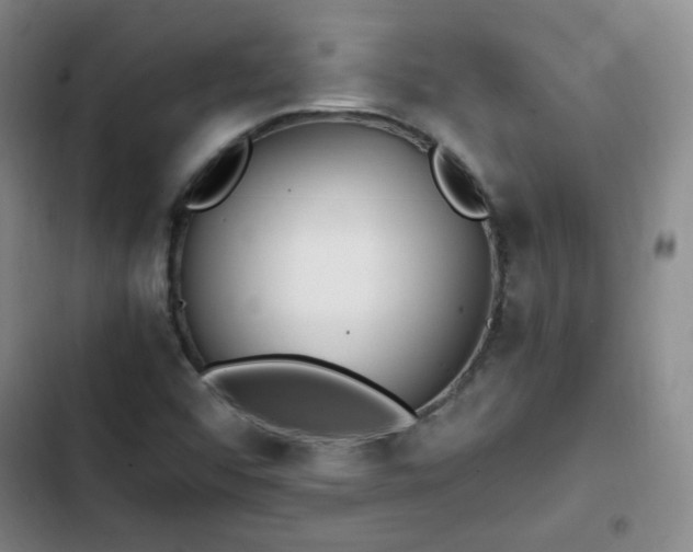 X0000102761456200808251017