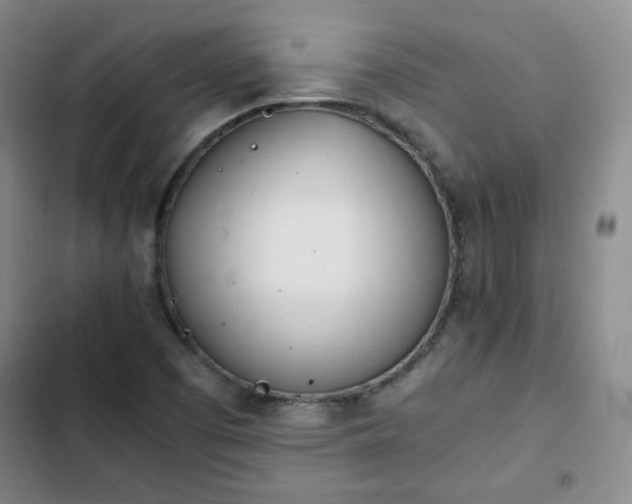 X0000102761457200808251017