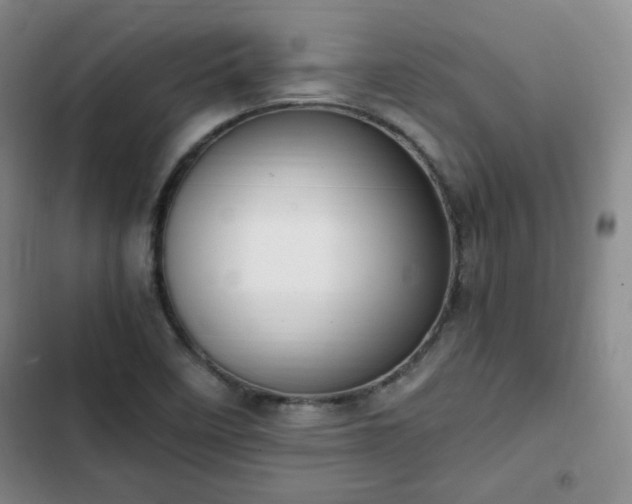 X0000102761458200808251017