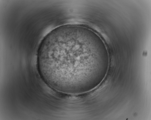 X0000102761459200808251017