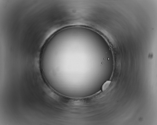 X0000102761460200808251017