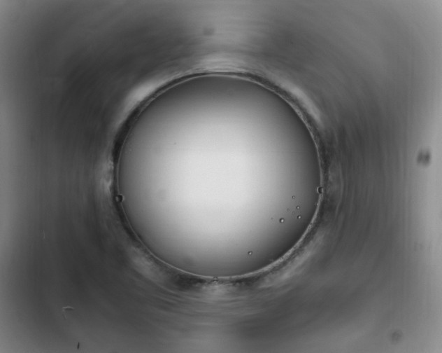 X0000102761461200808251017