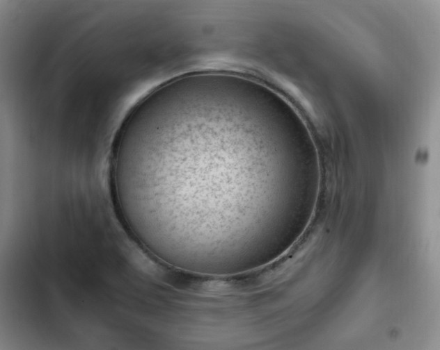 X0000102761463200808251017