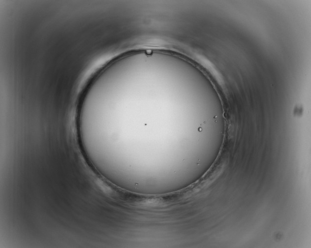 X0000102761464200808251017