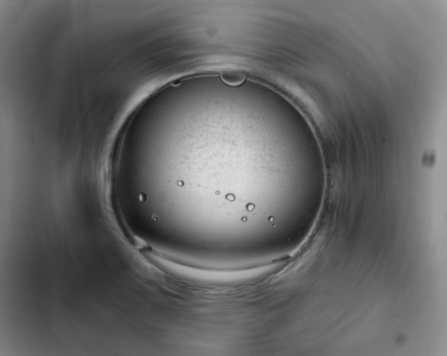 X0000102761467200808251017