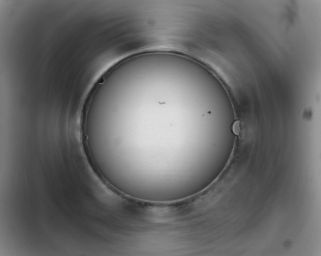 X0000102761468200808251017