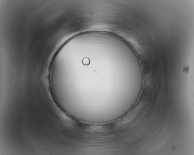 X0000102761470200808251017