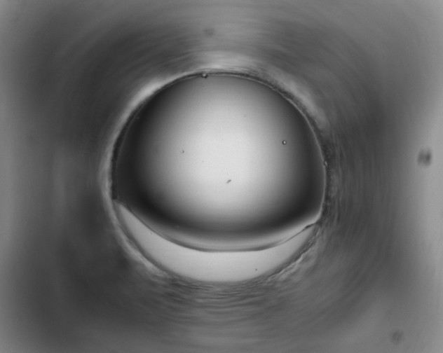 X0000102761471200808251017