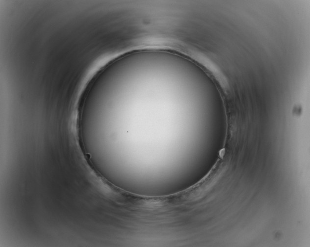 X0000102761472200808251017