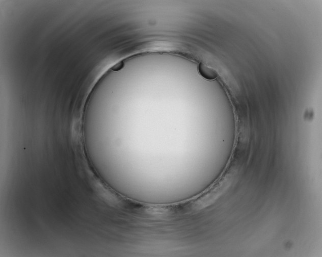 X0000102761473200808251017