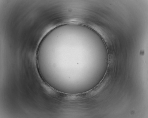 X0000102761474200808251016