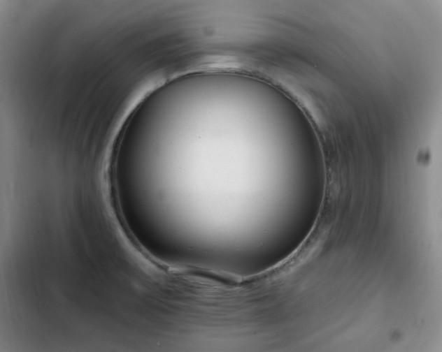 X0000102761475200808251016