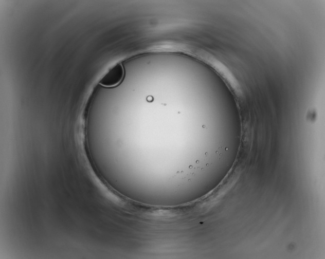 X0000102761476200808251016