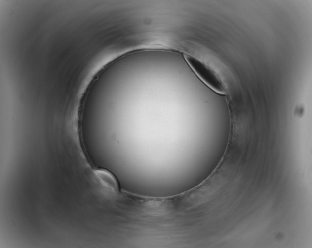 X0000102761480200808251016