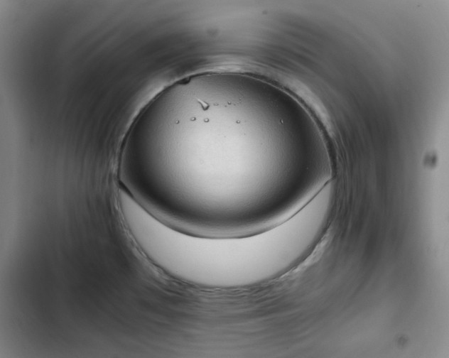 X0000102761481200808251016