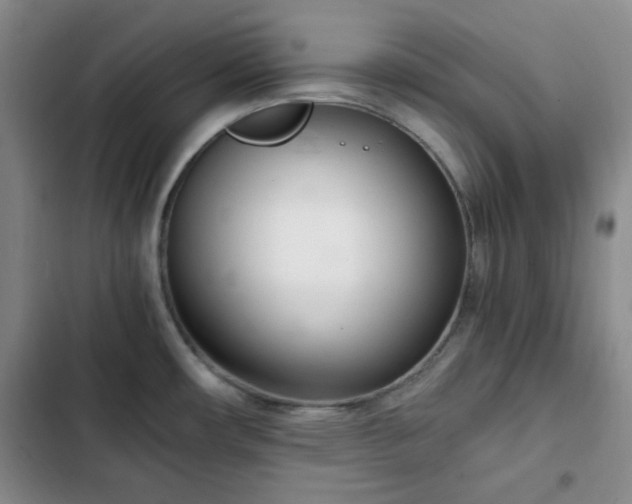 X0000102761482200808251016