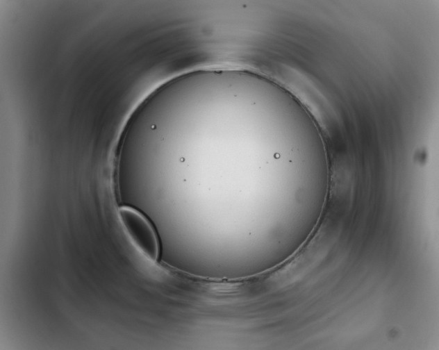 X0000102761484200808251016