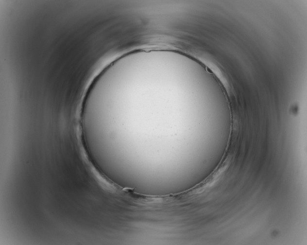 X0000102761485200808251016