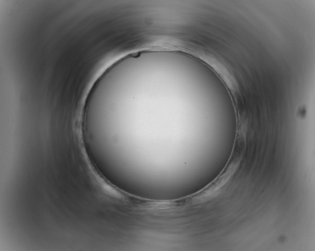 X0000102761486200808251016