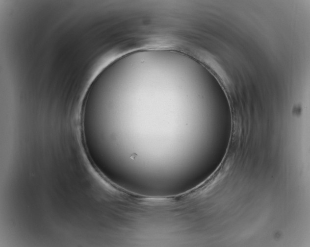 X0000102761487200808251016