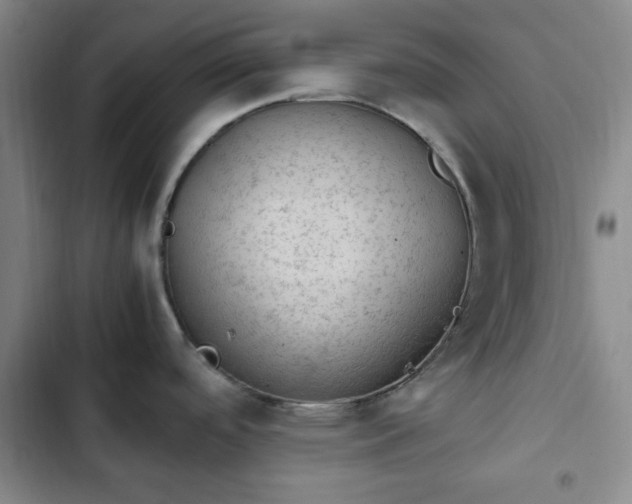 X0000102761488200808251016