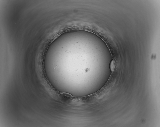 X0000102761489200808251016