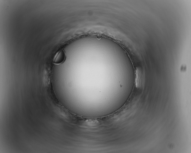 X0000102761491200808251016