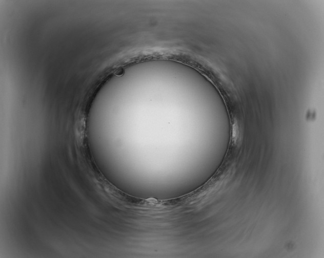 X0000102761492200808251016