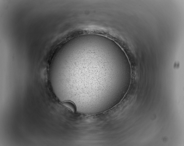 X0000102761493200808251016